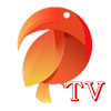 鹦鹉直播tvapk电视盒子版v1.0.6